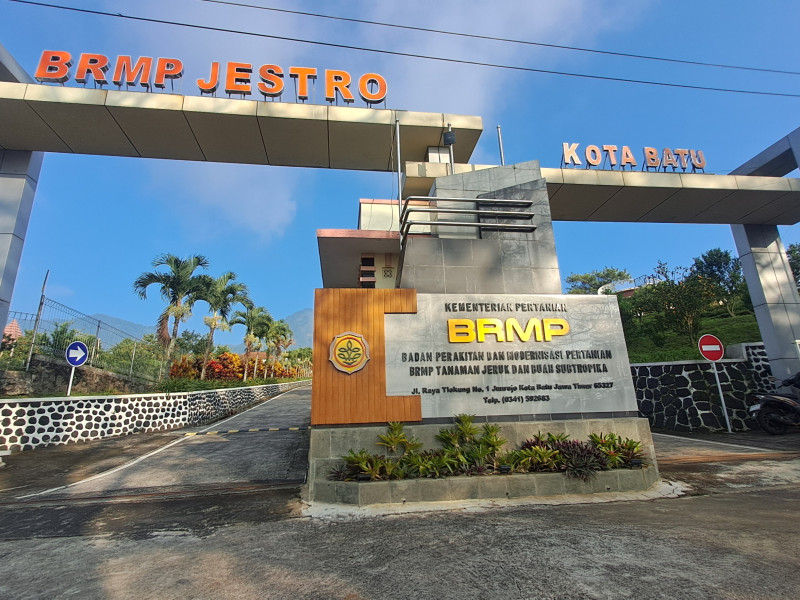 Gambar